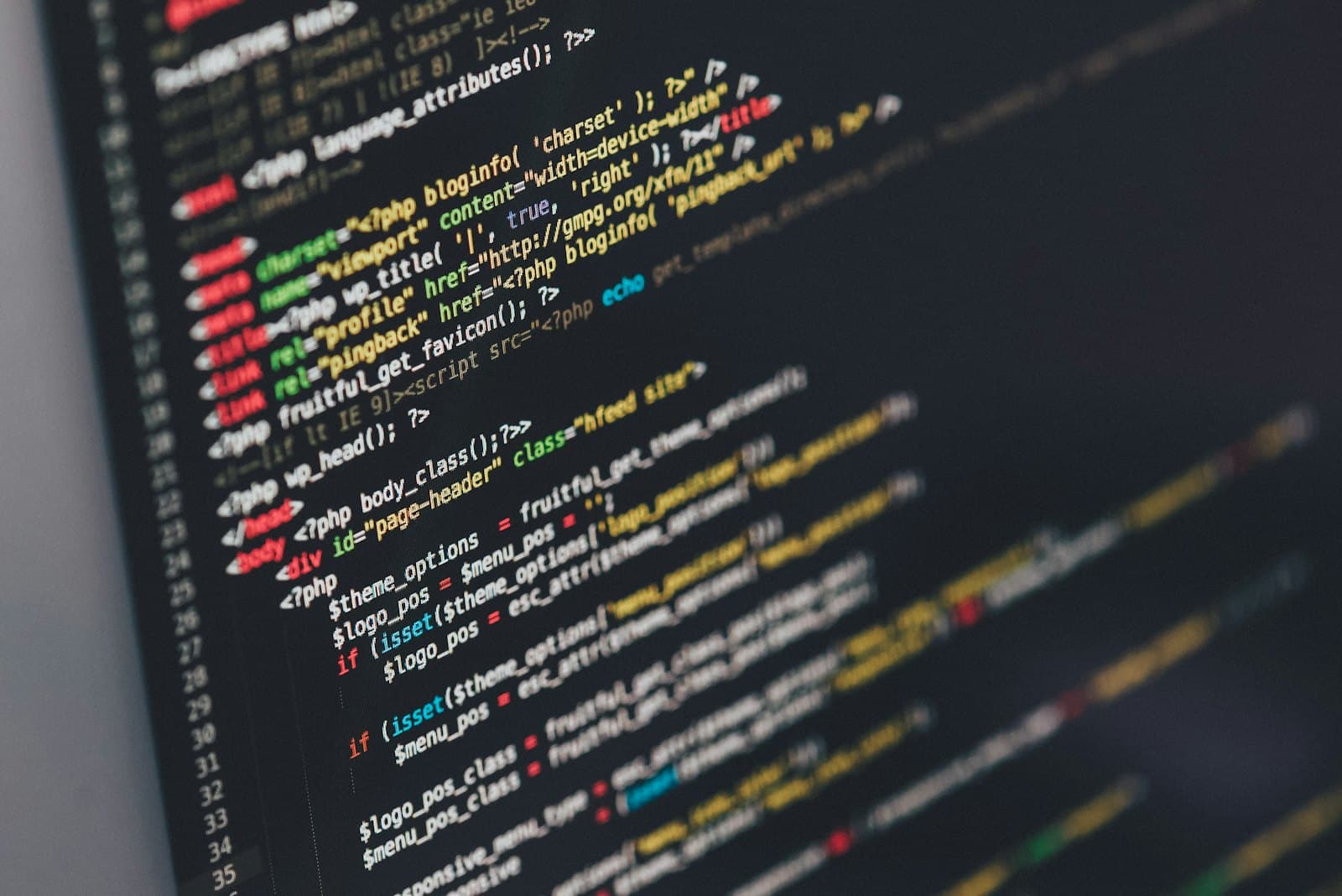 Software Development